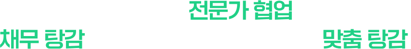 모든 법률 분야 전문가 협업을 통한
        채무 탕감의 최적화 솔루션 제공으로 맞춤 탕감!